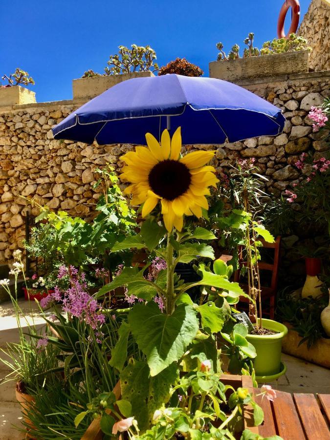 Botanica B&B Xaghra Ngoại thất bức ảnh